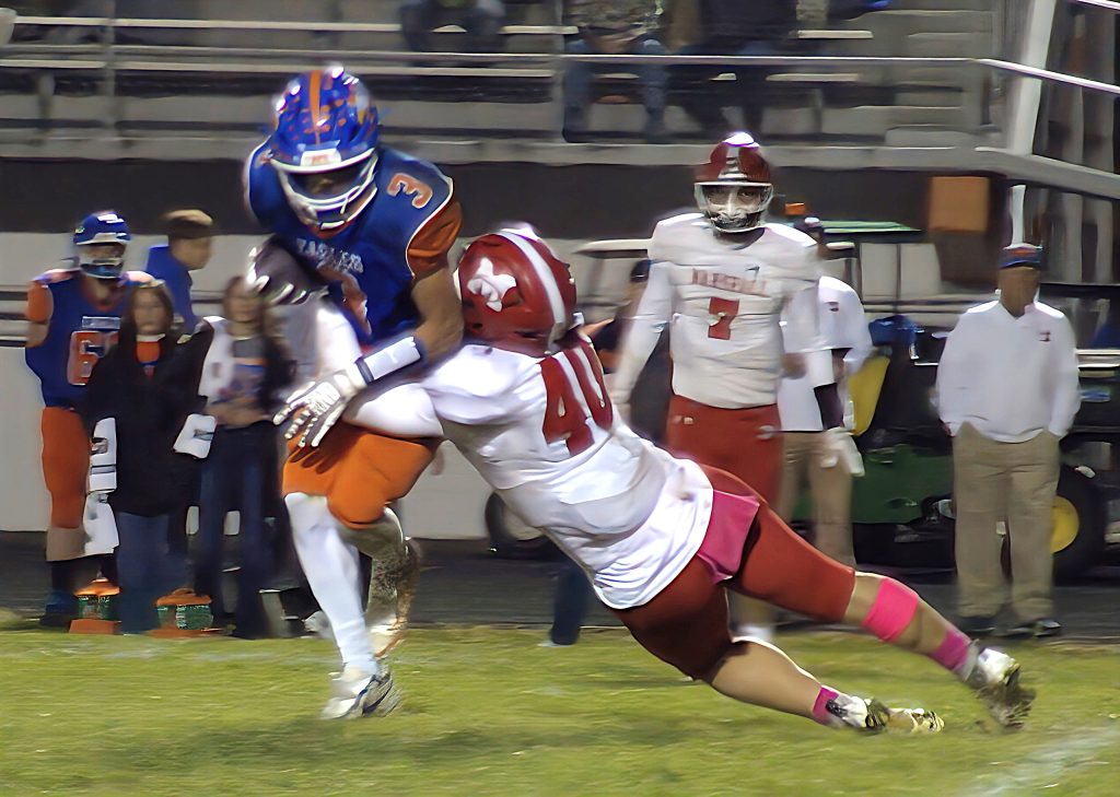 Lucca Giannavola (40) led the Lions with 11 tackles against Newton.